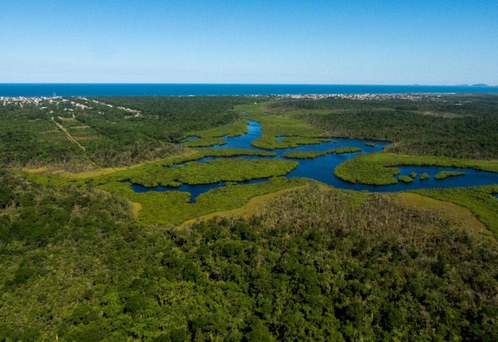 Parque Estadual do Boguaçu — portal de turismo