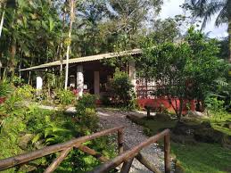 Ostra Viva — portal de turismo de Guaratuba